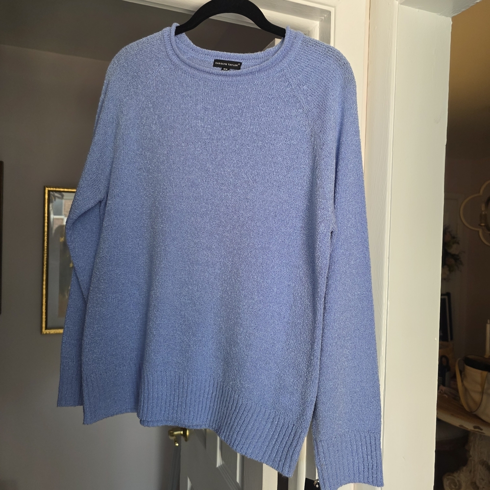 New With Tag  Blue Crewneck Sweater